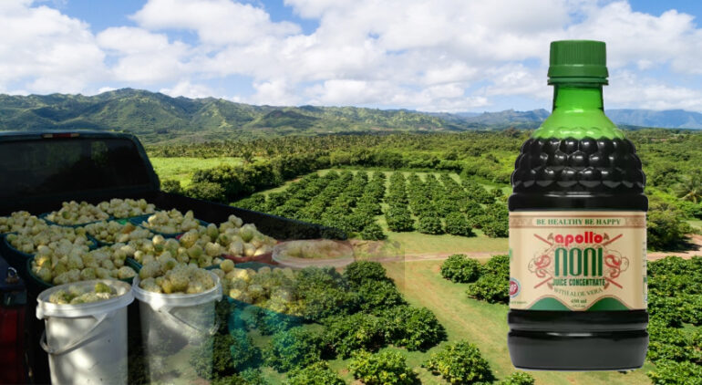 Apollo Noni Juice Nature’s Gift to Youth of all Ages.