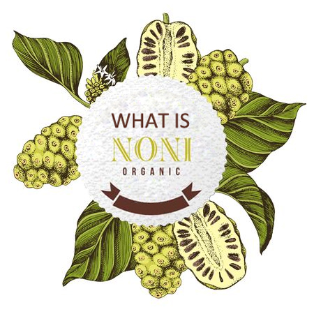 Noni a Powerful Asset to your Overall Health and Well Being