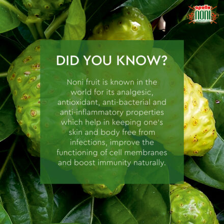 Health and skin benefits of noni fruit juice